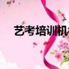 藝考培訓機構費用（藝考培訓機構費用）