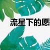 流星下的愿歌詞（流星下的愿歌詞介紹）