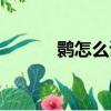 鹮怎么讀音是什么（鹮怎么讀）