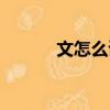 文怎么讀音是什么（文怎么讀）