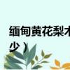 緬甸黃花梨木價格表（緬甸黃花梨木價格是多少）