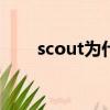 scout為什么叫多多（SCOUT國籍）