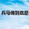 兵馬俑到底是誰的（兵馬俑到底是誰的陪葬）