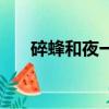 碎蜂和夜一（關于碎蜂和夜一的簡介）