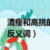 清瘦和高挑的反義詞（擁擠,驚慌,清瘦,放肆的反義詞）