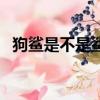 狗鯊是不是鯊魚（有什么關于狗鯊的資料）