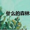 什么的森林填空四字詞語（什么的森林）