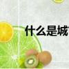 什么是城市副中心（什么是城市圈）