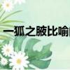 一狐之腋比喻的是（“一狐之腋”比喻什么）