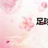足球守門員（如何守門）