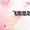 飛坦是怎樣煉成的全文（飛坦bg）