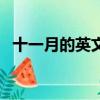 十一月的英文怎么念（十一月的英文縮寫）
