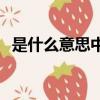 是什么意思中文翻譯視頻（@是什么意思）