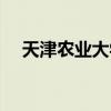 天津農業大學在哪（天津農業大學在哪）