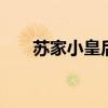 蘇家小皇后txt下載（蘇家小皇后12）