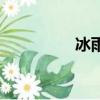 冰雨（關于冰雨的簡介）