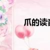 爪的讀音有（爪的讀音和意思?）