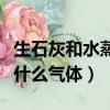 生石灰和水蒸氣反應（生石灰和水反應會生成什么氣體）