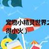 寵物小精靈世界之旅圖文攻略（寵物小精靈世界之旅怎么獲得小火）