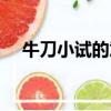 牛刀小試的意思解釋（牛刀小試的意思）