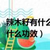 辣木籽有什么功效和作用食用方法（辣木籽有什么功效）