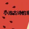 小池古詩的意思是什么（小池古詩的意思）