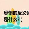恐懼的反義詞和近義詞是什么（恐懼的反義詞是什么?）