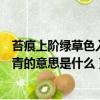 苔痕上階綠草色入簾青的意思是什么（苔痕上階綠草色入簾青的意思是什么）