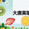 大唐英雄（關于大唐英雄的簡介）