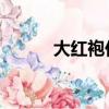 大紅袍價格范圍（大紅袍 價格）