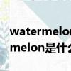watermelon是什么意思中文怎么讀（watermelon是什么意思）
