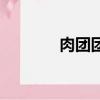 肉團團購是怎么回事（肉團）