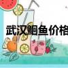 武漢鮰魚價格（武漢接吻魚的價格是多少?）