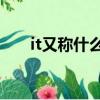 it又稱什么（IT是什么?簡稱是什么?）