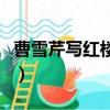 曹雪芹寫紅樓夢（關于曹雪芹寫紅樓夢的簡介）