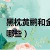 黑枕黃鸝和金黃鸝的區別（黑枕黃鸝習性都有哪些）