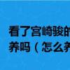 看了宮崎駿的《龍貓》想養一只龍貓做寵物好養嗎（怎么養）
