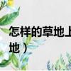 怎樣的草地上灑滿了怎樣的小露珠（怎樣的草地）