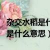 雜交水稻是什么和什么雜交而成的（雜交水稻是什么意思）