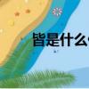 皆是什么偏旁的字（皆是什么意思）