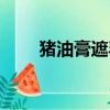 豬油膏遮毛孔測評（豬油膏怎么用）
