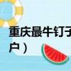 重慶最牛釘子戶楊武夫婦近況（重慶最牛釘子戶）