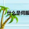 什么是伺服的扭矩（什么是伺服馬達?）