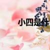 小四是什么股票（小四是什么意思）