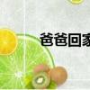 爸爸回家（關于爸爸回家的簡介）