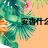 安香什么意思呢（安香什么意思）