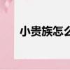 小貴族怎么上車呢（小貴族怎么樣啊）