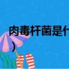 肉毒桿菌是什么（為什么奶粉里會有肉毒桿菌）