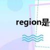 region是什么（region是什么意思）