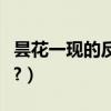 曇花一現的反義詞（曇花一現的反義詞是什么?）